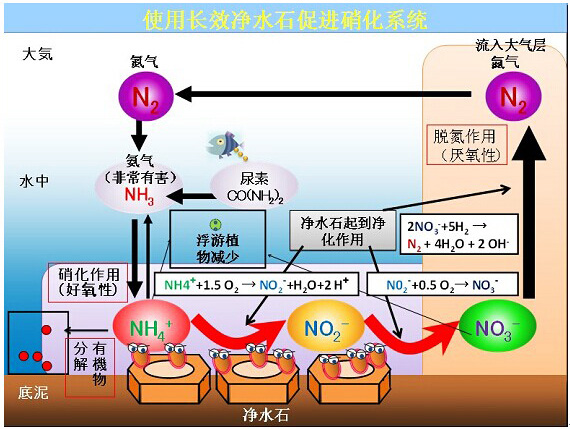 魚池微生物凈水石工作原理